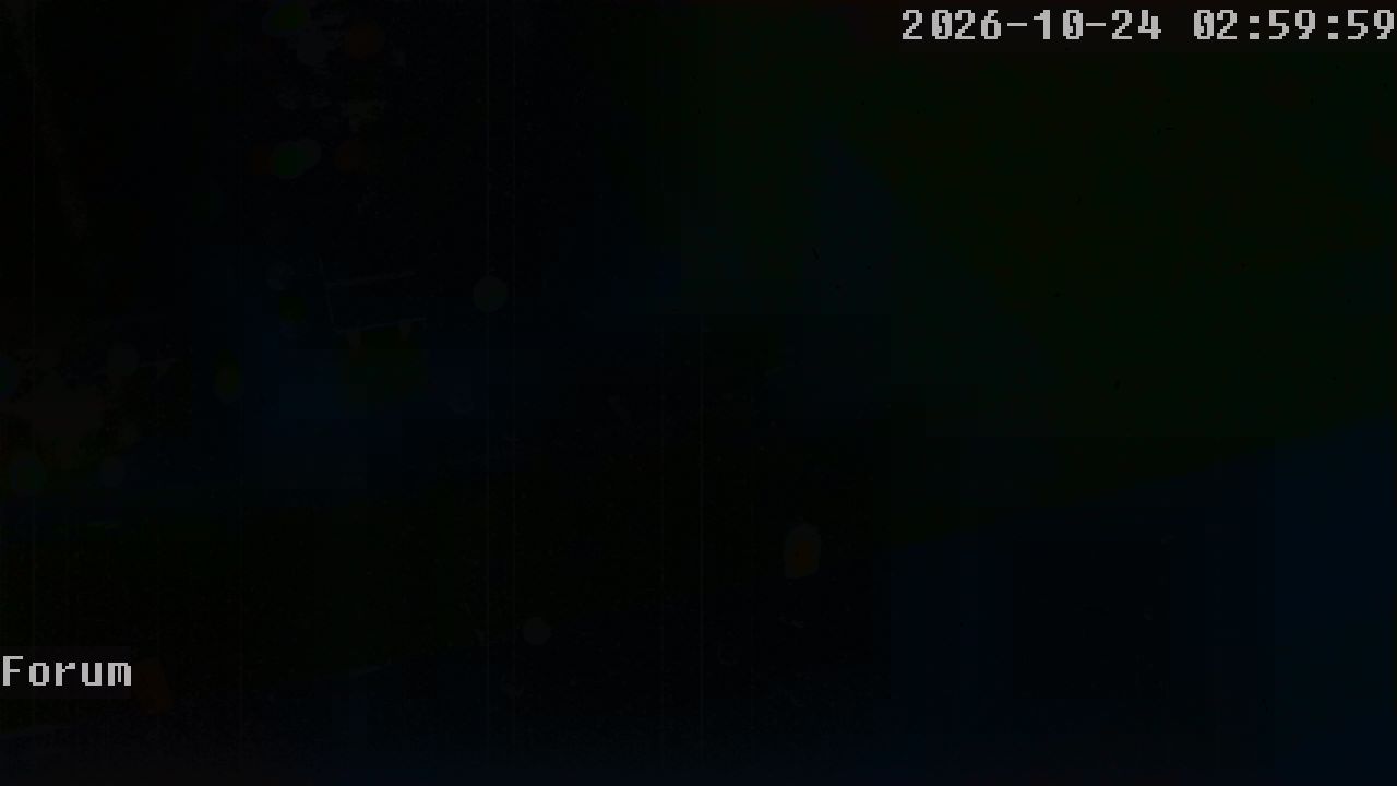 Webcam Forum 03:00