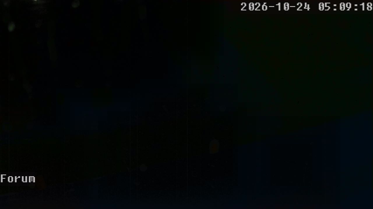 Webcam Forum 05:09