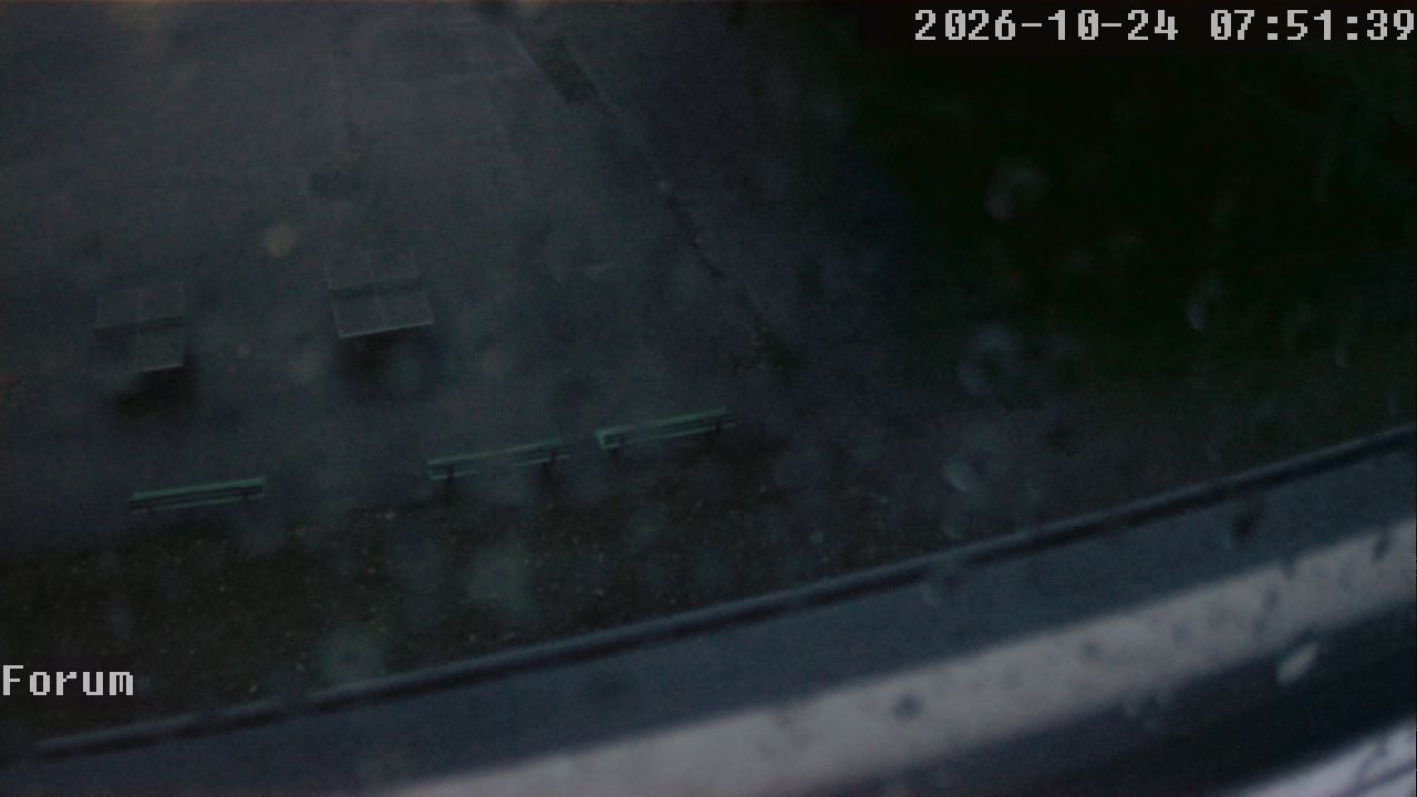 Webcam Forum 07:51
