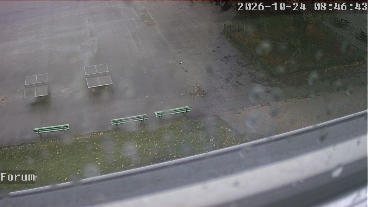 Webcam Forum 08:46