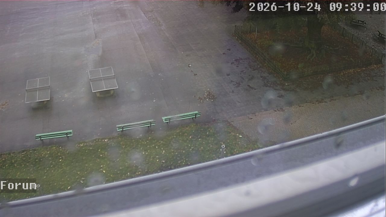 Webcam Forum 09:39