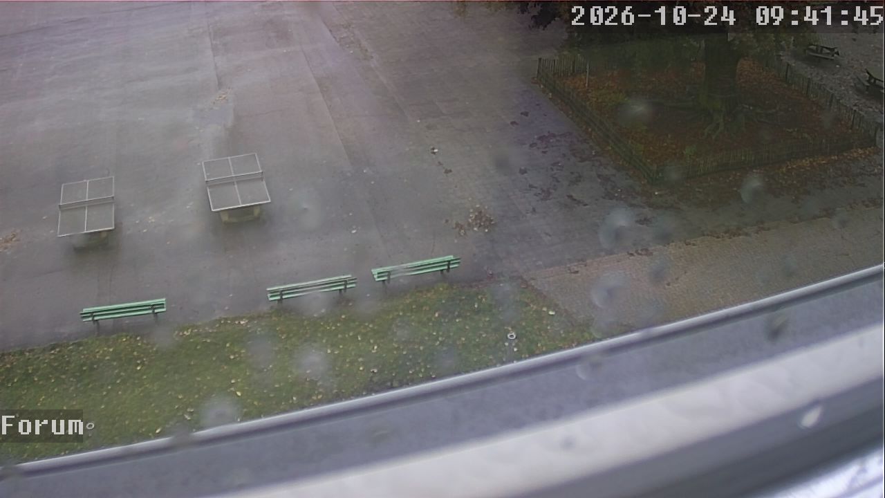 Webcam Forum 09:41