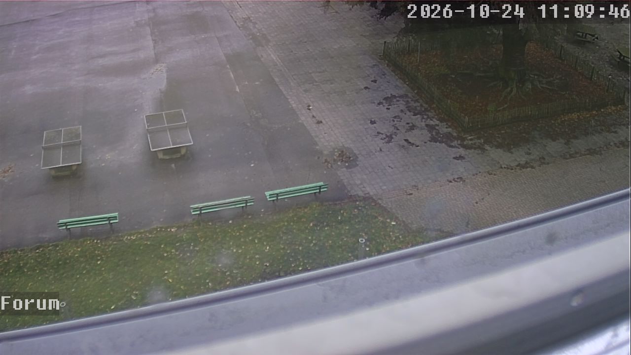 Webcam Forum 11:09