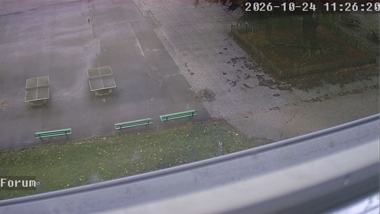Webcam Forum 11:26
