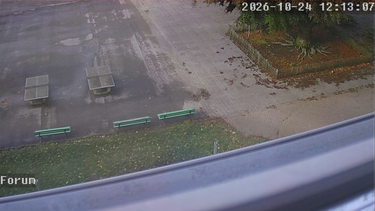 Webcam Forum 12:13