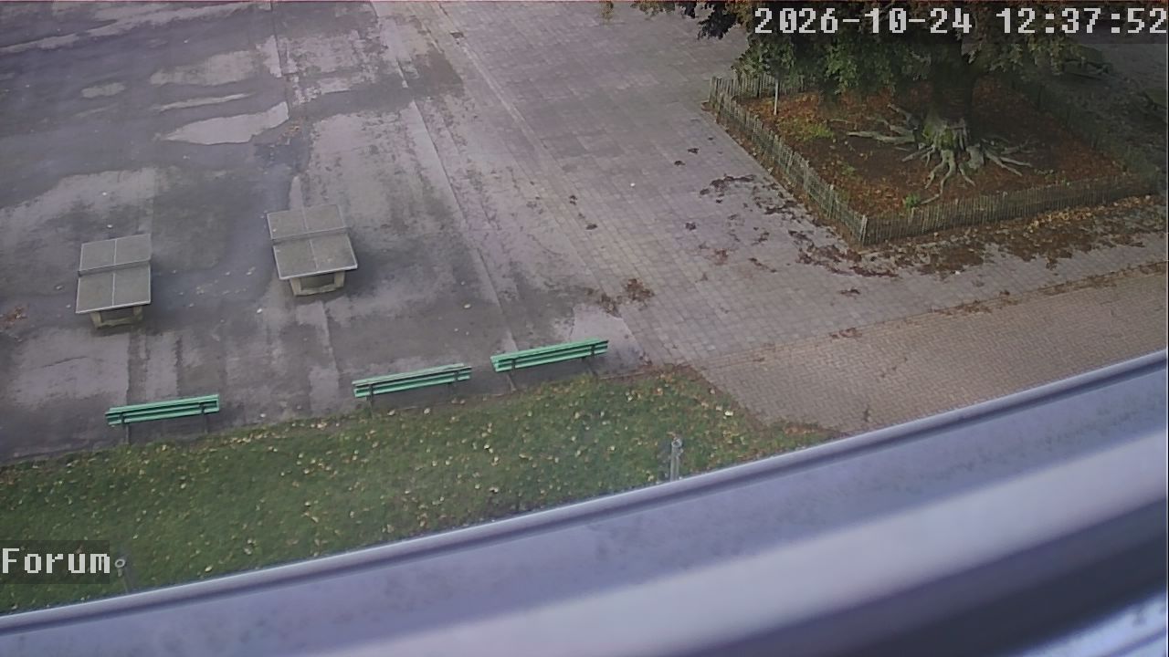 Webcam Forum 12:37