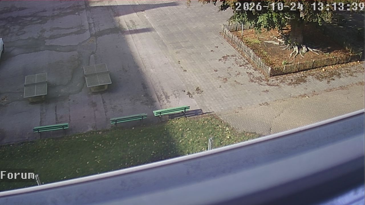 Webcam Forum 13:13