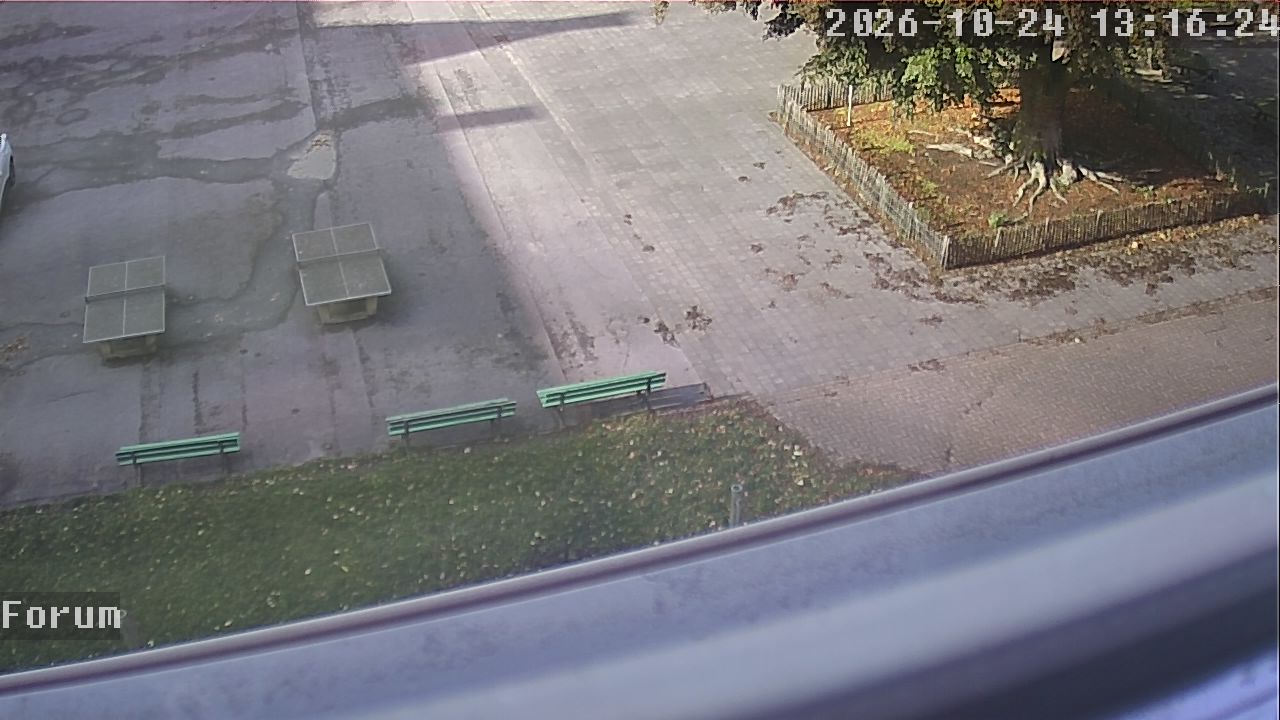 Webcam Forum 13:16
