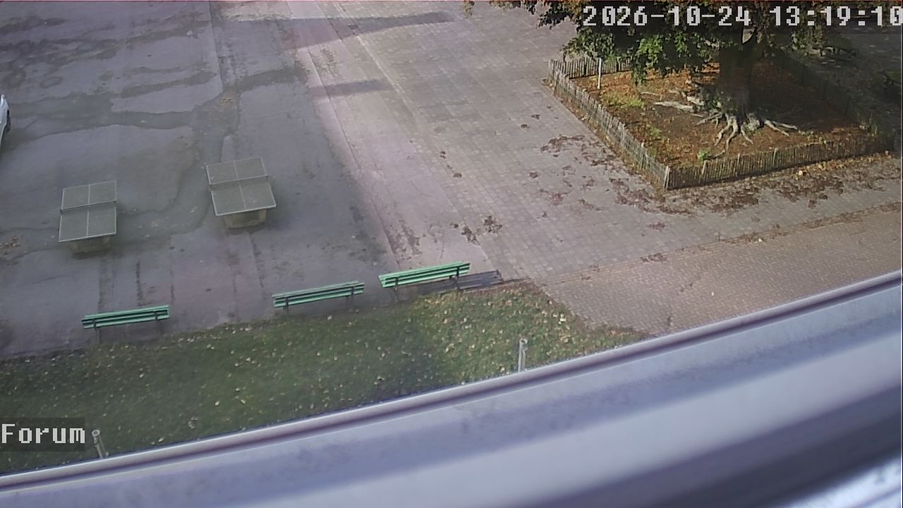 Webcam Forum 13:19