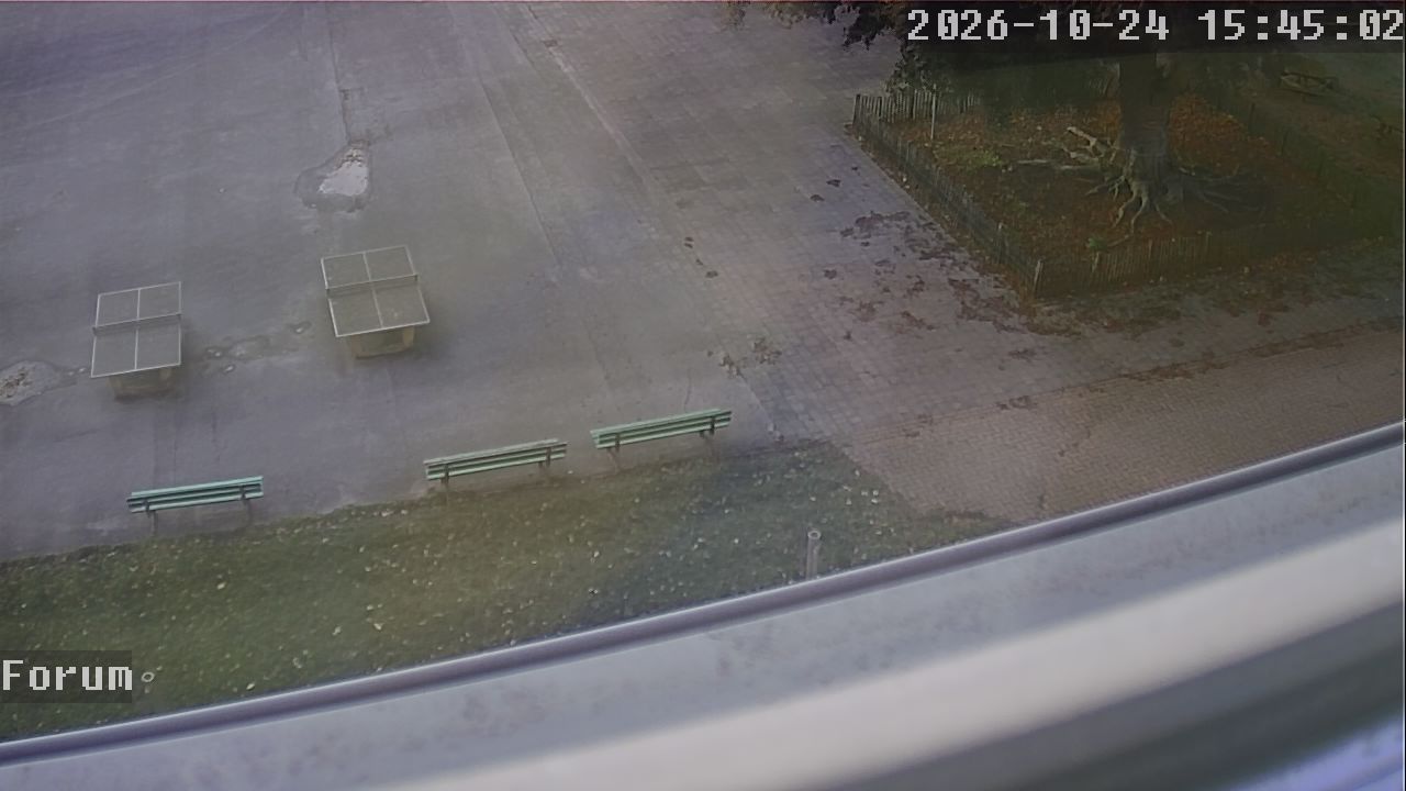 Webcam Forum 15:45
