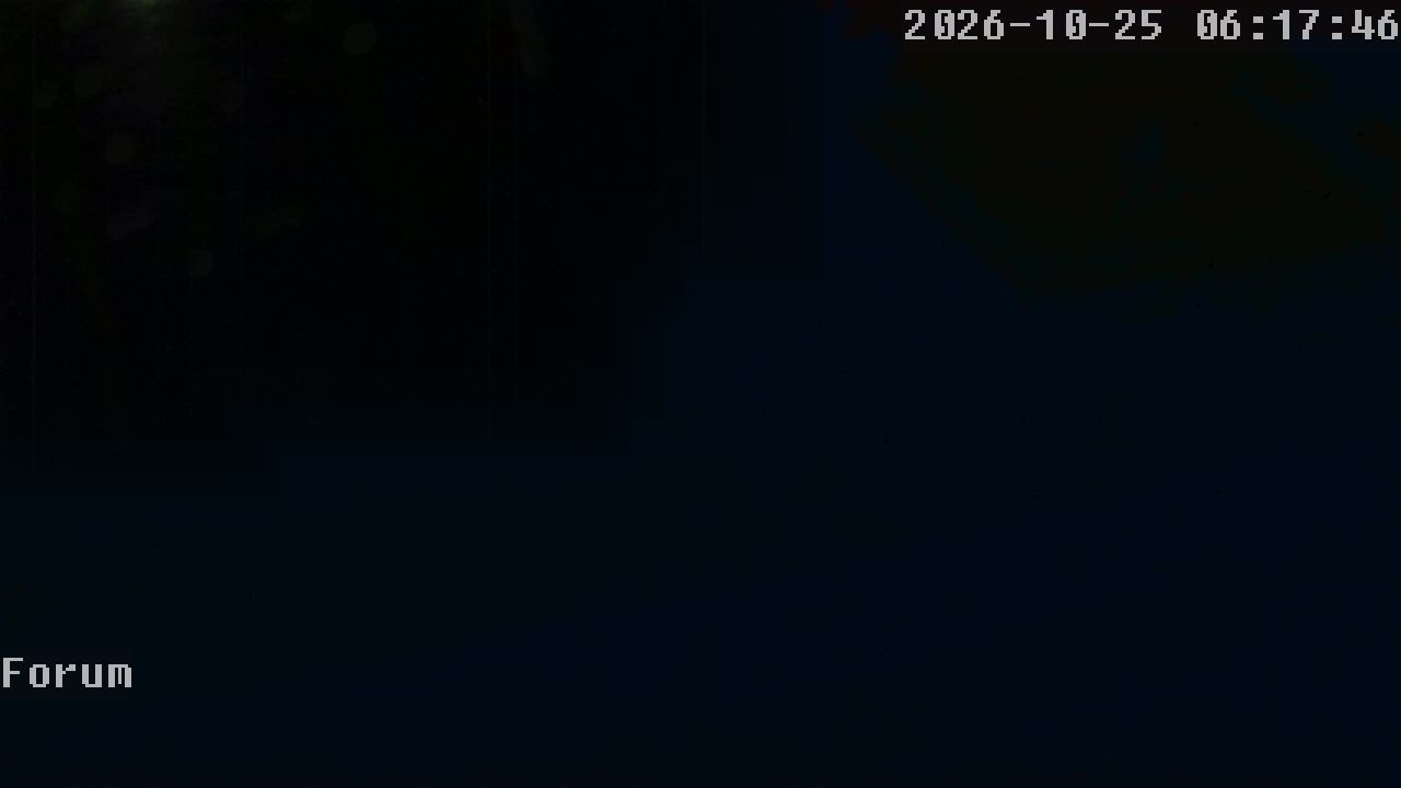Webcam Forum 06:17