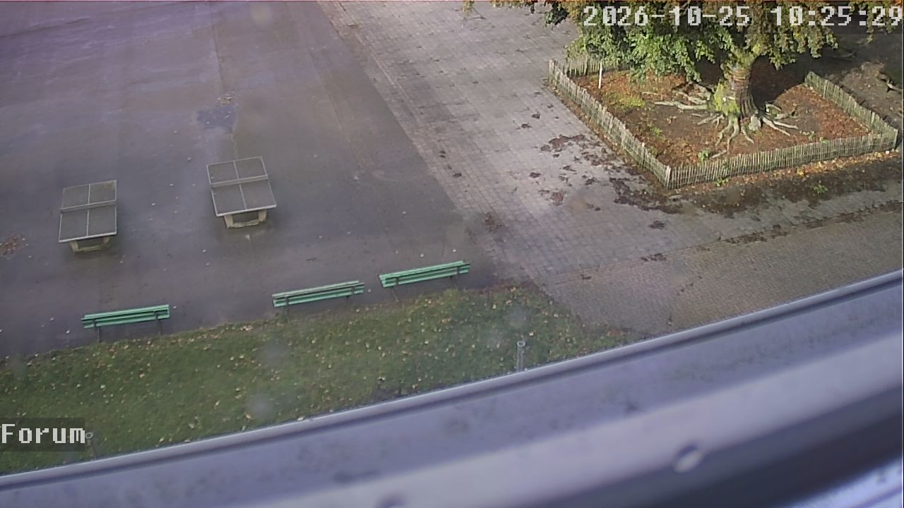 Webcam Forum 10:25