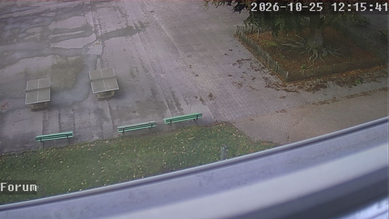 Webcam Forum 12:15