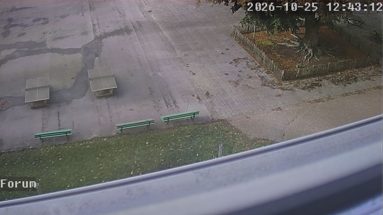 Webcam Forum 12:43