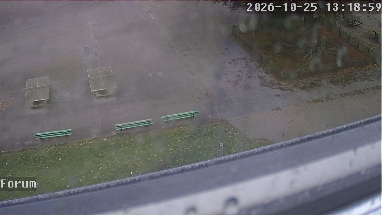 Webcam Forum 13:19