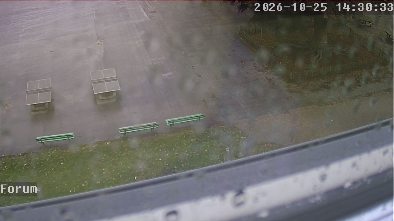 Webcam Forum 14:30