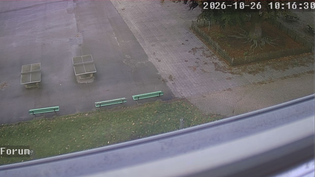 Webcam Forum 10:16