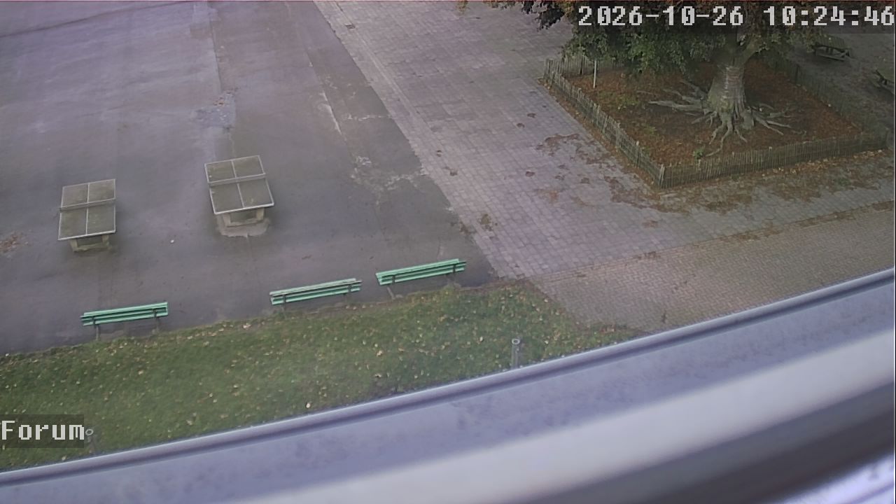 Webcam Forum 10:24