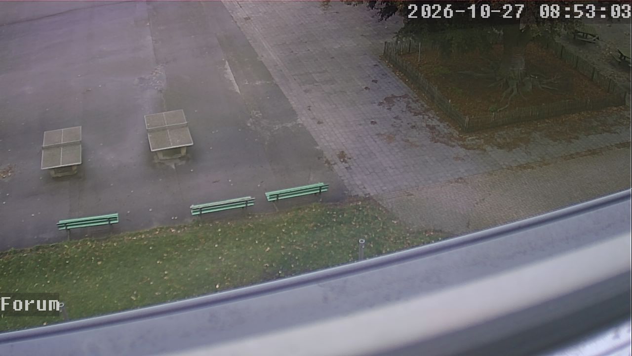 Webcam Forum 08:53