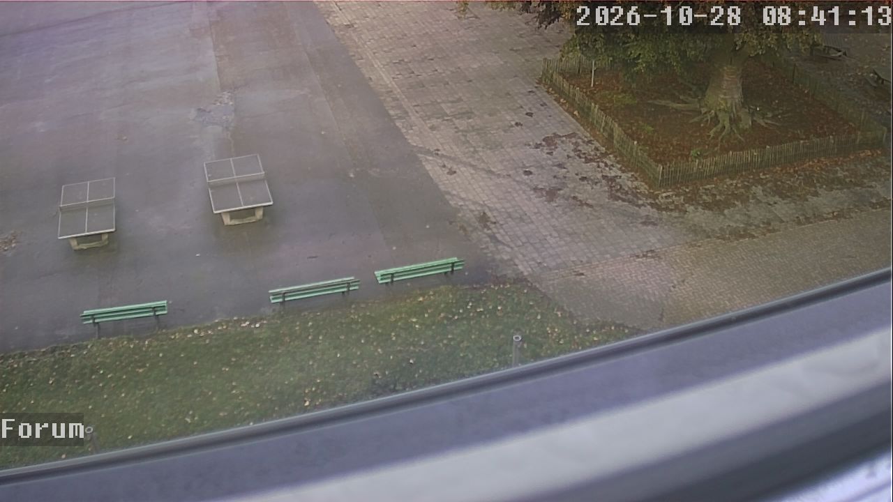 Webcam Forum 08:41