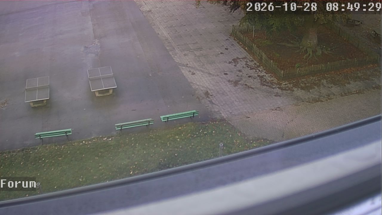 Webcam Forum 08:49