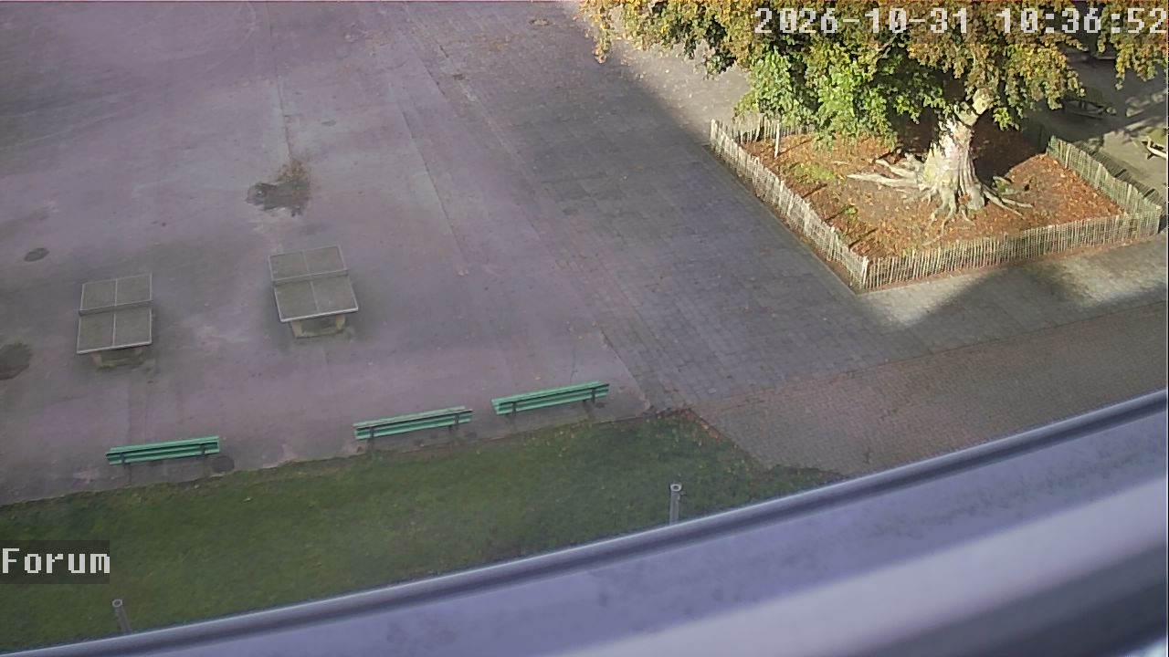 Webcam Forum 10:36