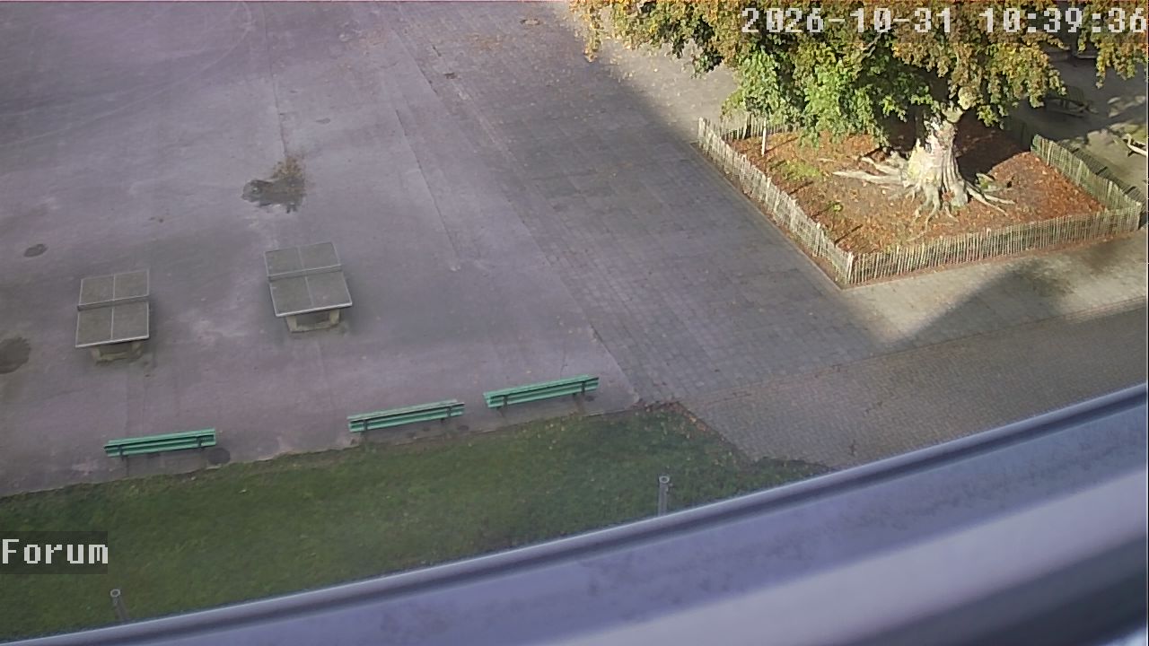 Webcam Forum 10:39