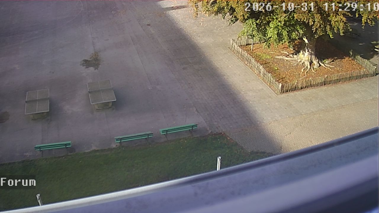 Webcam Forum 11:29