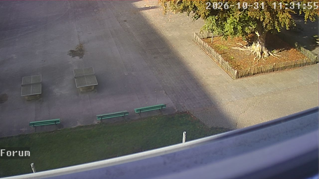 Webcam Forum 11:31