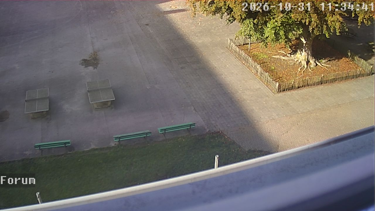 Webcam Forum 11:34