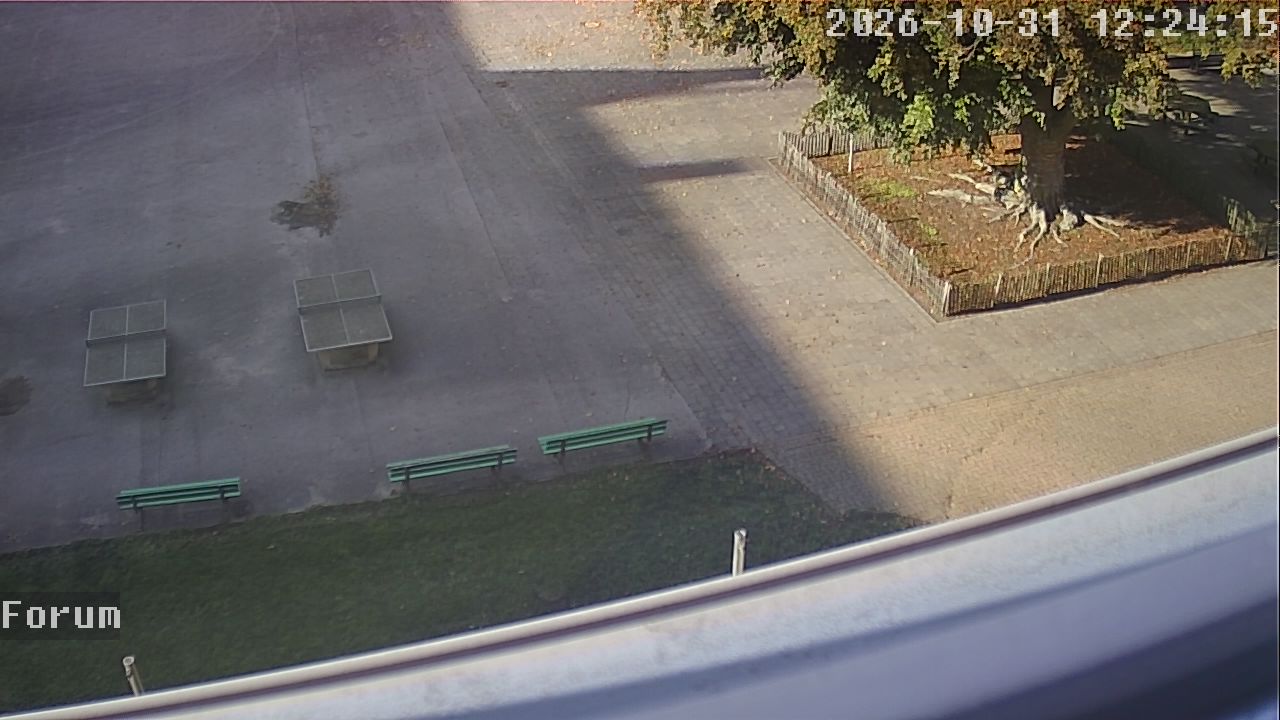 Webcam Forum 12:24