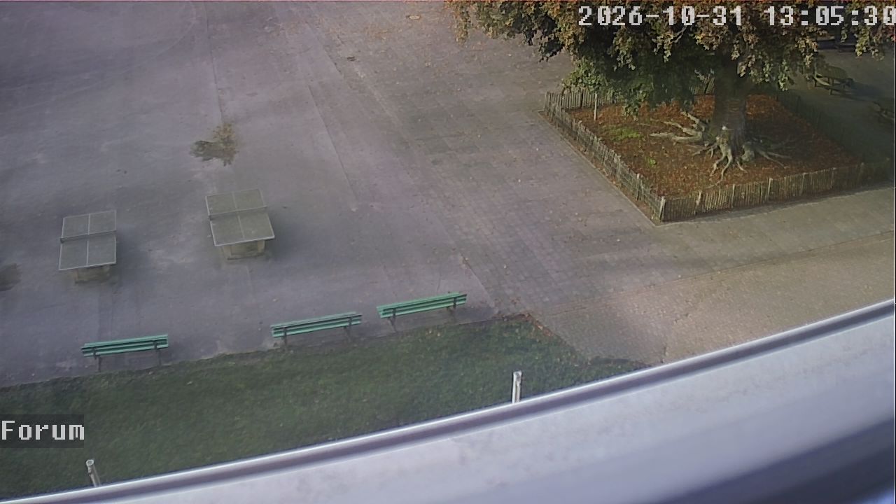 Webcam Forum 13:05