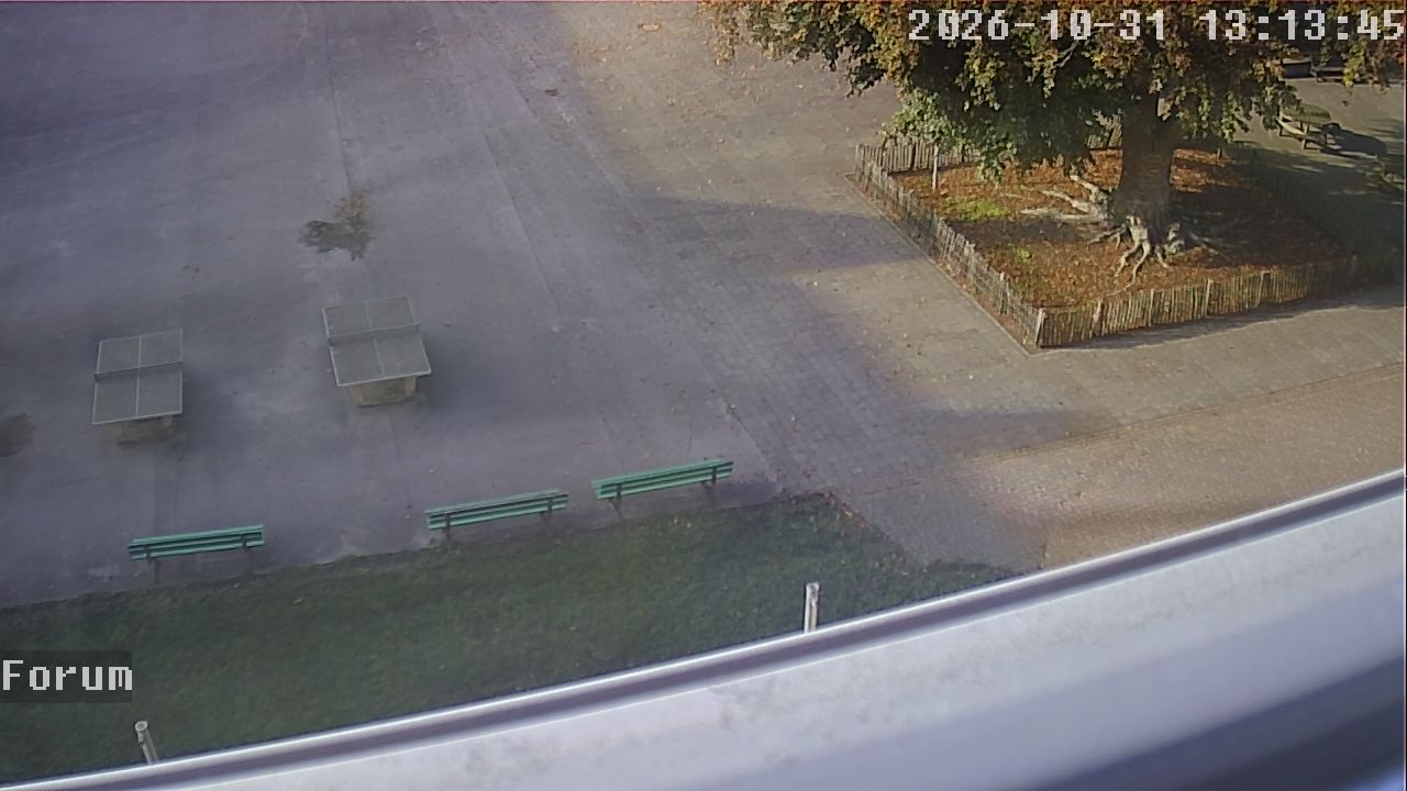 Webcam Forum 13:13