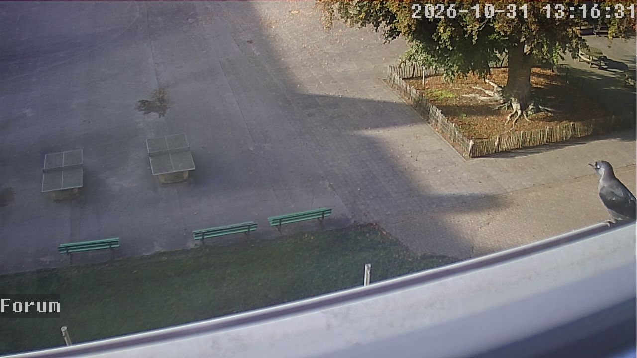 Webcam Forum 13:16