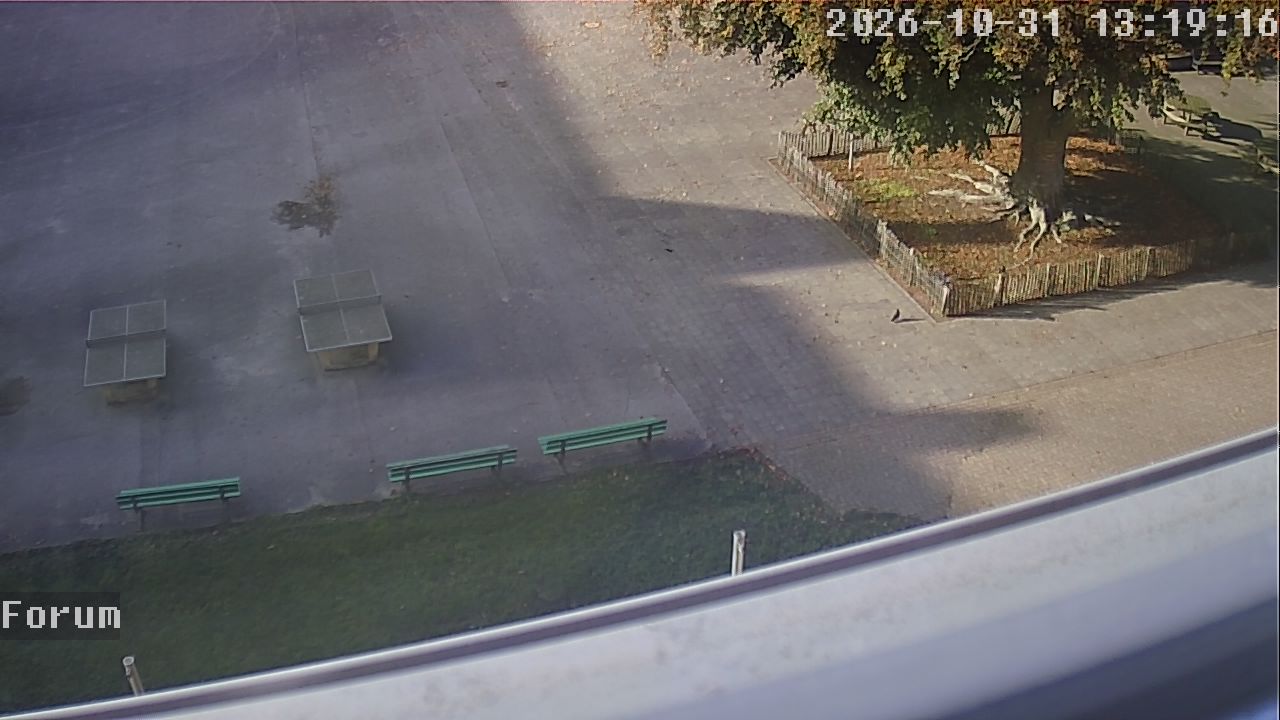 Webcam Forum 13:19