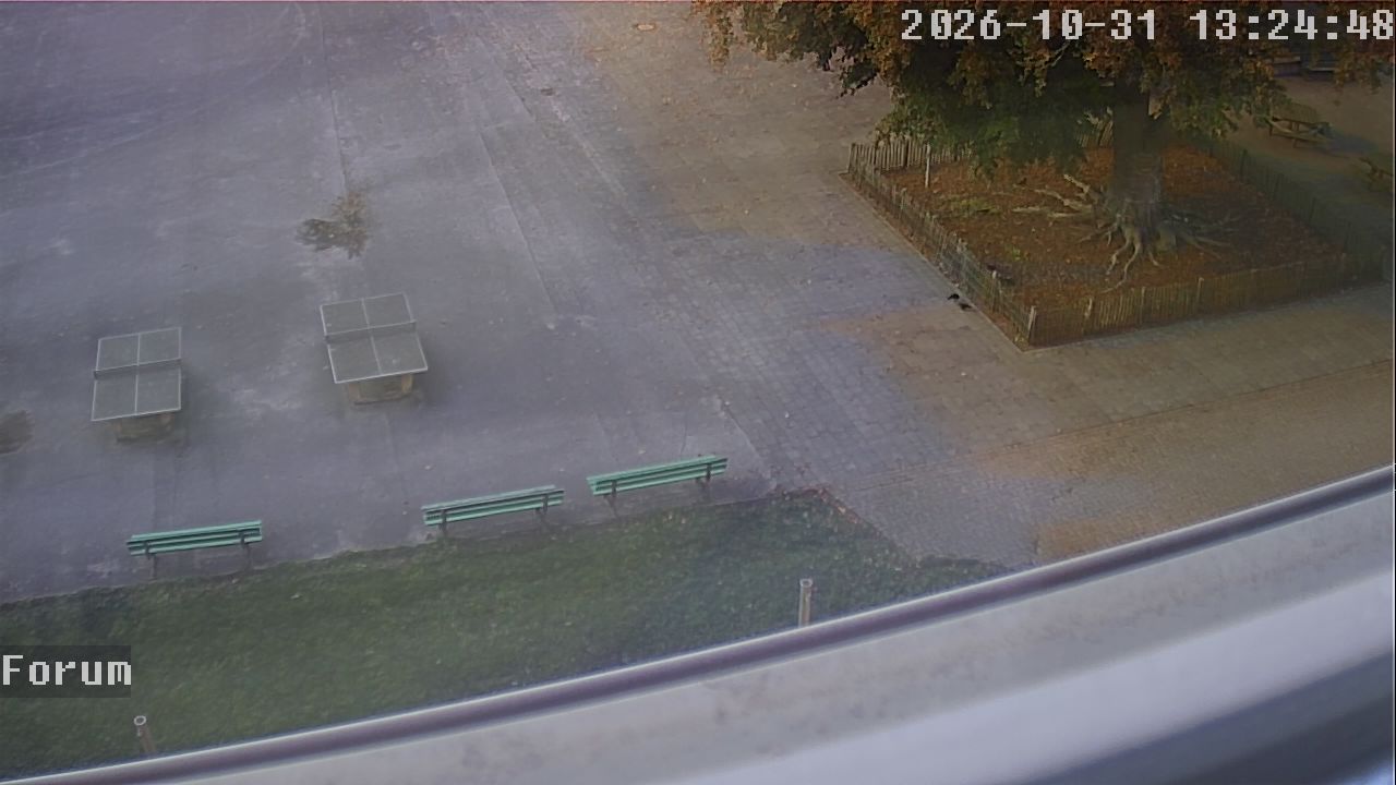 Webcam Forum 13:24
