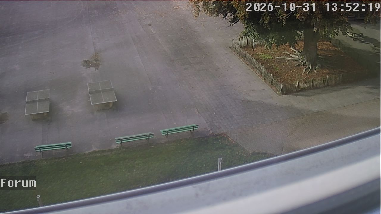 Webcam Forum 13:52