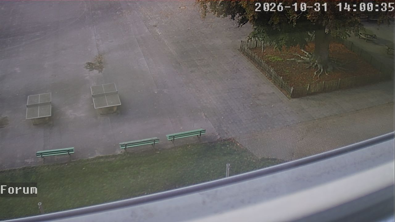 Webcam Forum 14:00