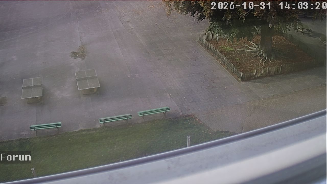 Webcam Forum 14:03