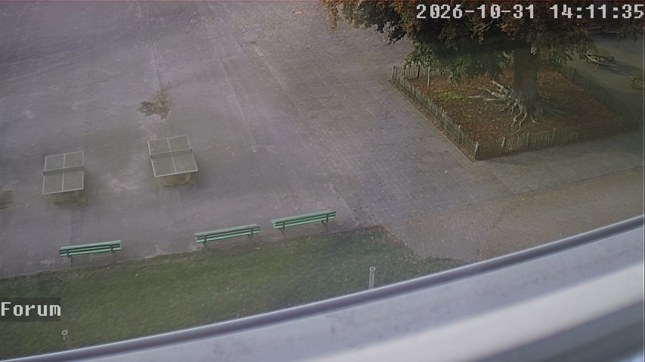 Webcam Forum 14:11