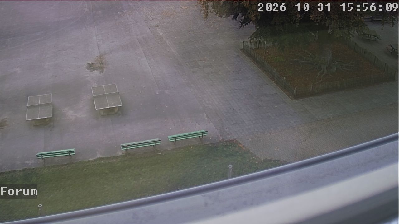Webcam Forum 15:56