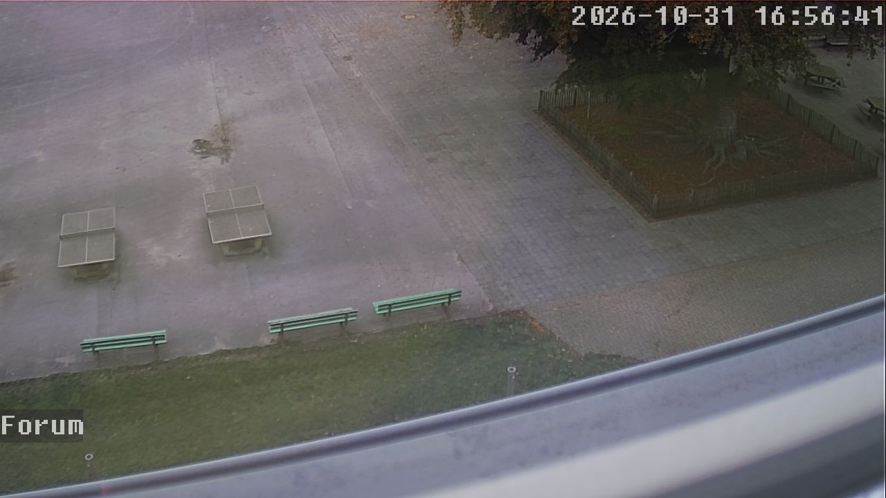 Webcam Forum 16:56