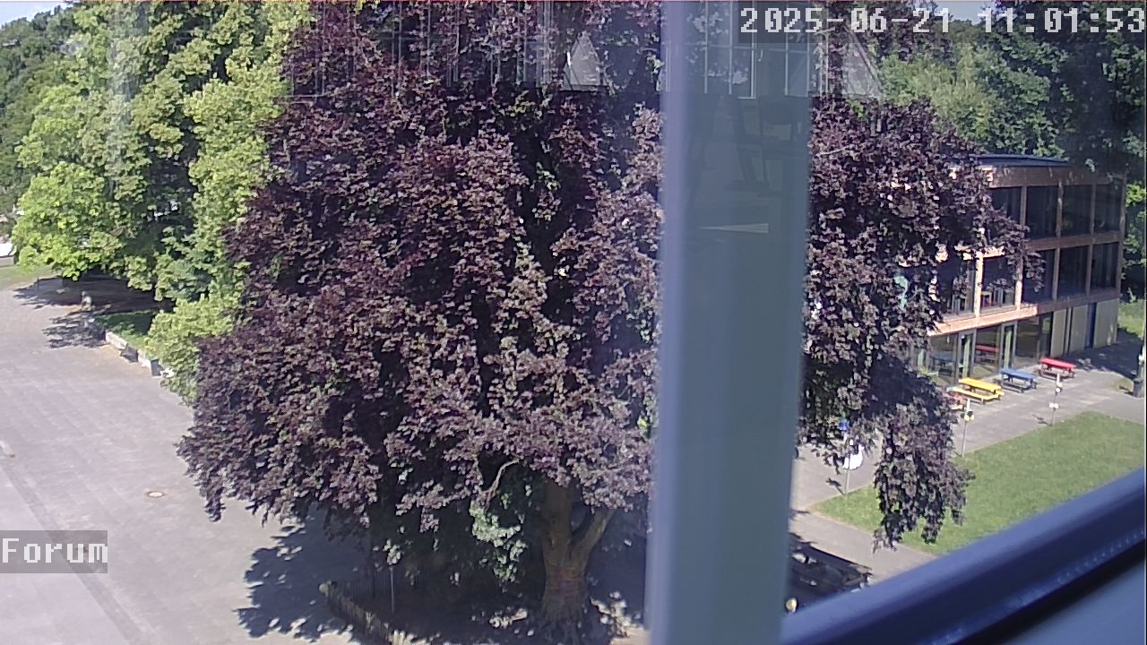 Webcam Schulhof 11:01