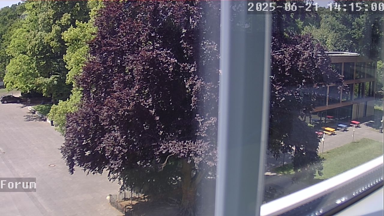Webcam Schulhof 14:15