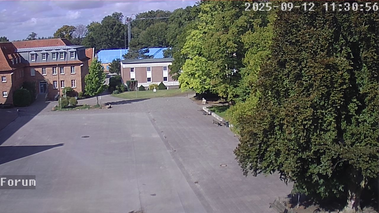 Webcam Forum 11:30