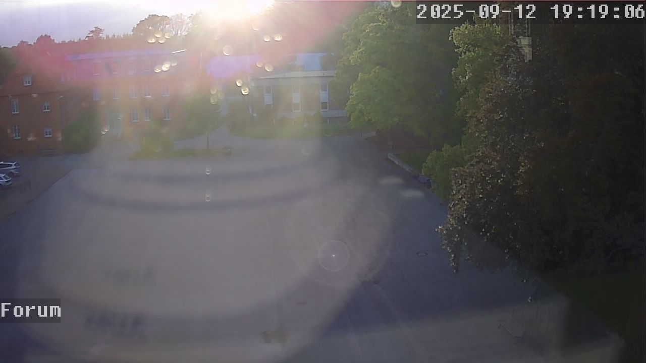 Webcam Forum 19:19