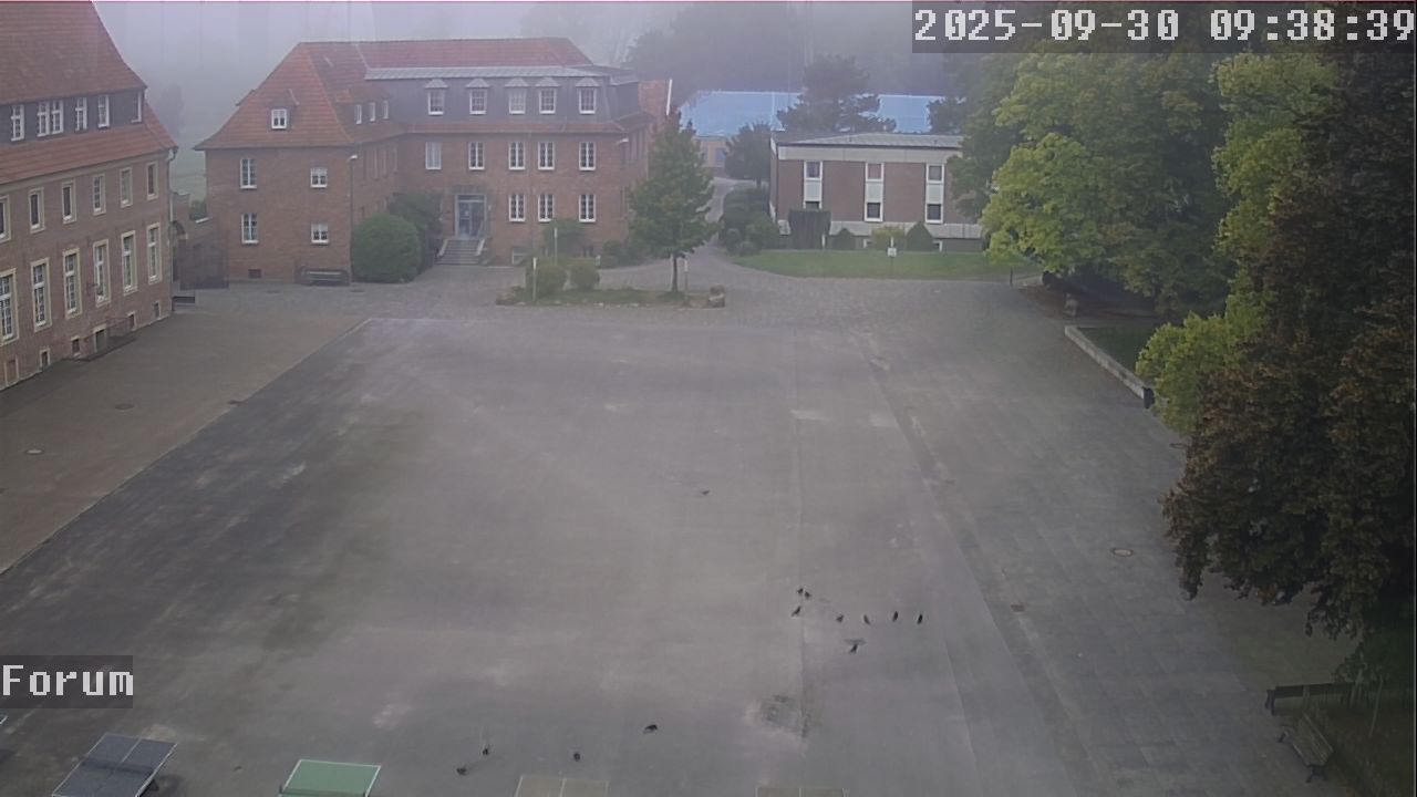 Webcam Forum 09:38